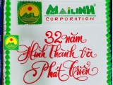 Tập Đoàn Mai Linh sinh nhật 32 năm - thành công và phát triển