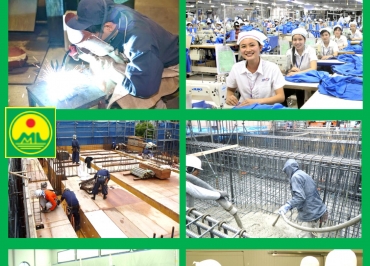 HOẠT ĐỘNG TẠI MÁI NHÀ CHUNG TT XKLĐ MAI LINH